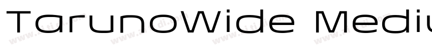 TarunoWide MediumIta字体转换